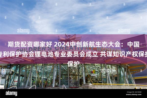 期货配资哪家好 2024中创新航生态大会：中国专利保护协会锂电池专业委员会成立 共谋知识产权保护